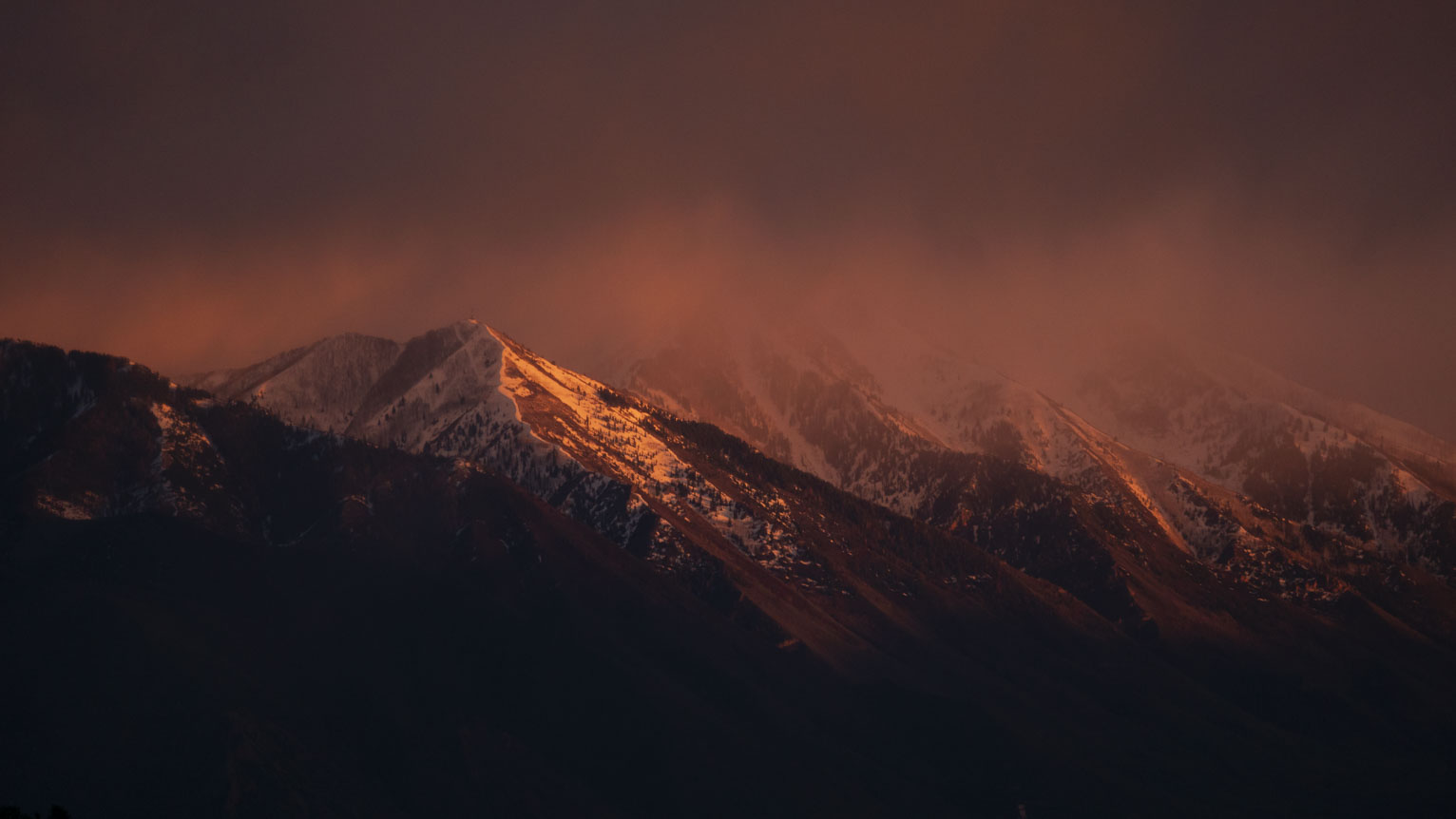 Piney snowy mountain slopes in a sunset haze